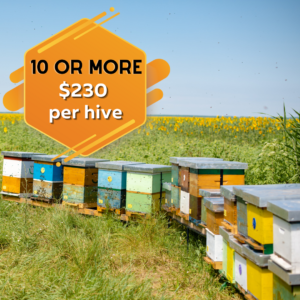 buy beehives for beekeeping Texas